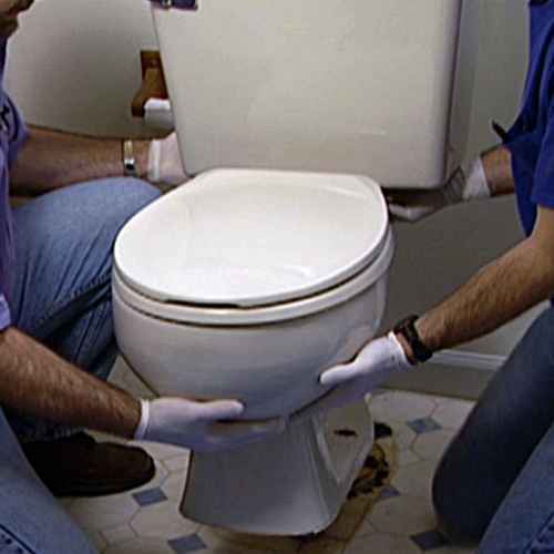 Toilet Installation (Western)